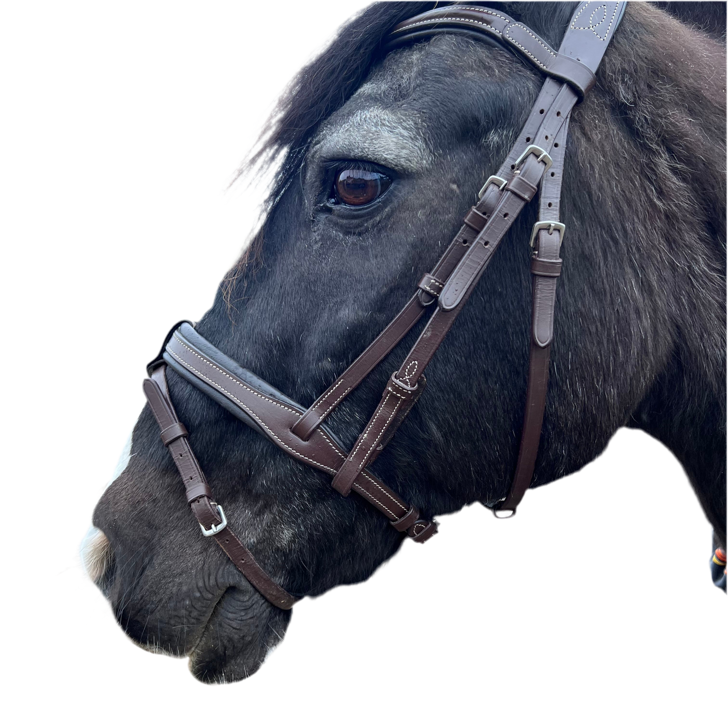 Bride poney