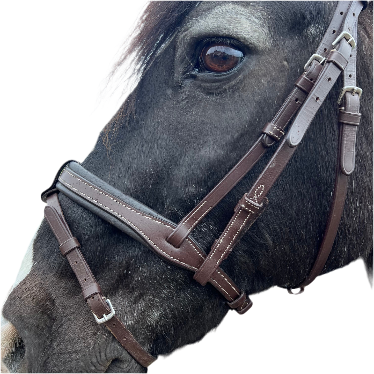 Bride poney
