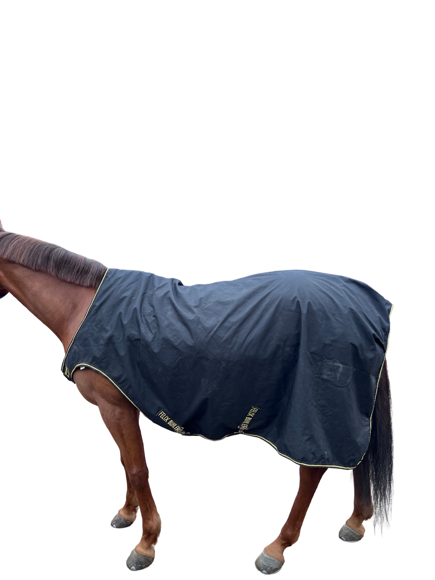 Couverture de marcheur Félix Bühler x Horseware — Noir | XL