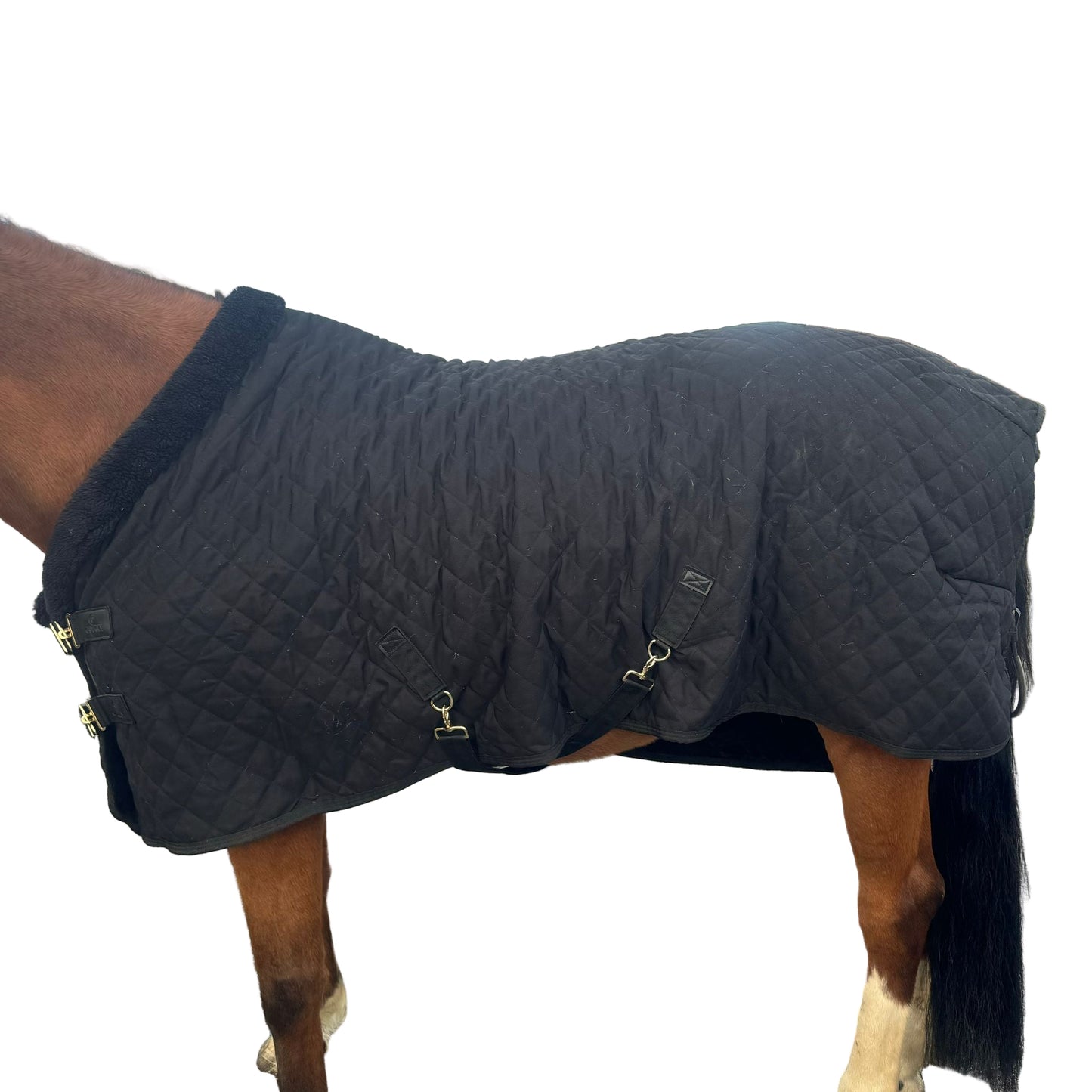 Couverture Kentucky T155