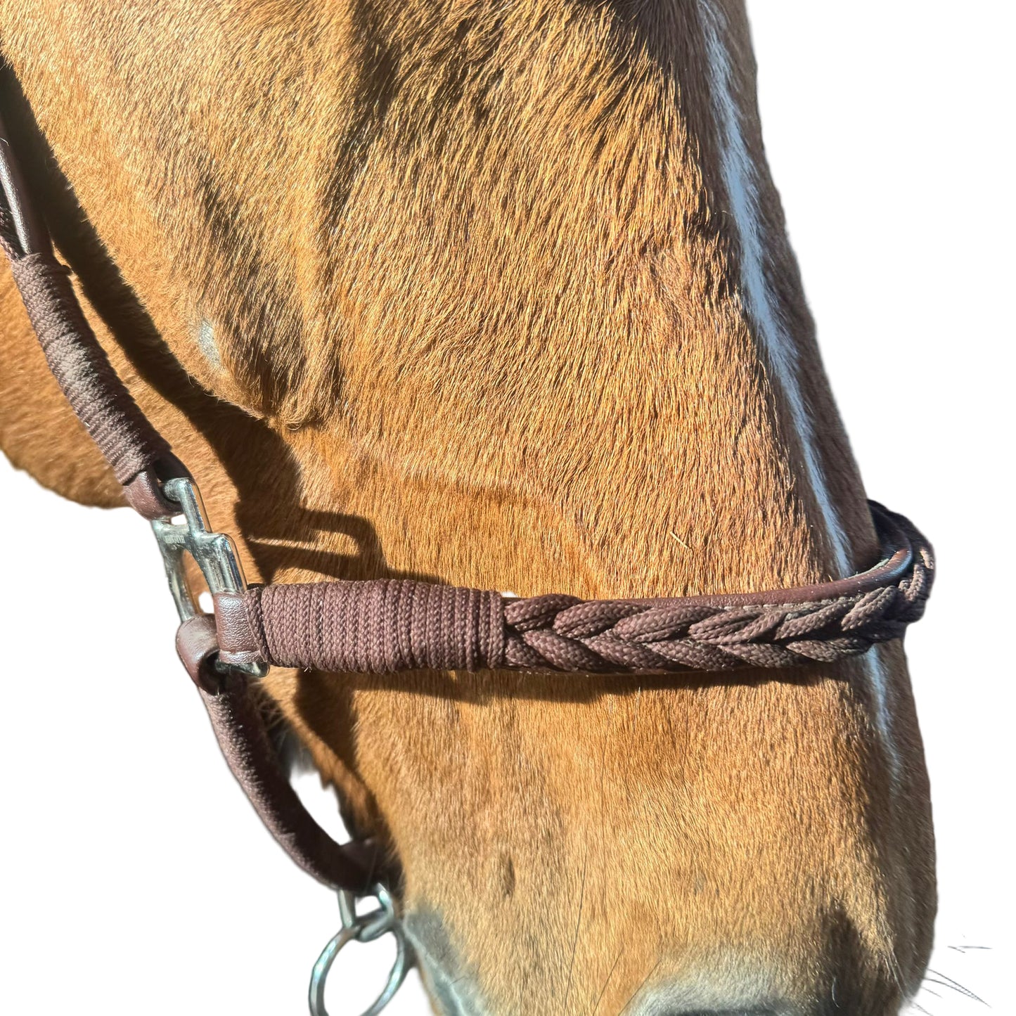 Licol cuir tressé