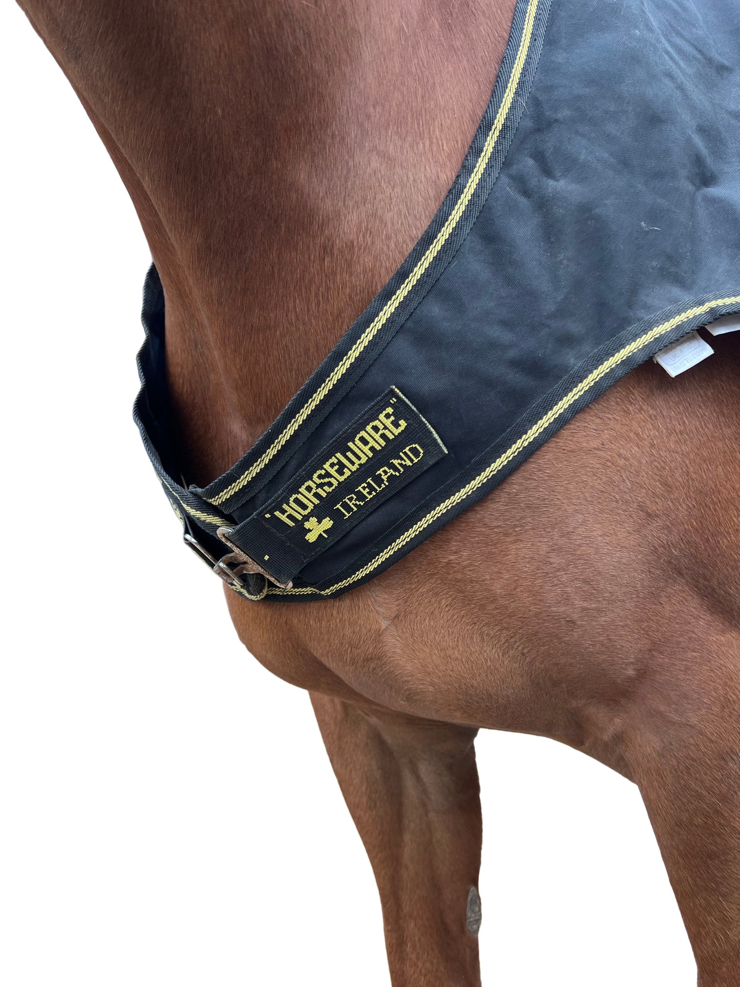 Couverture de marcheur Félix Bühler x Horseware — Noir | XL