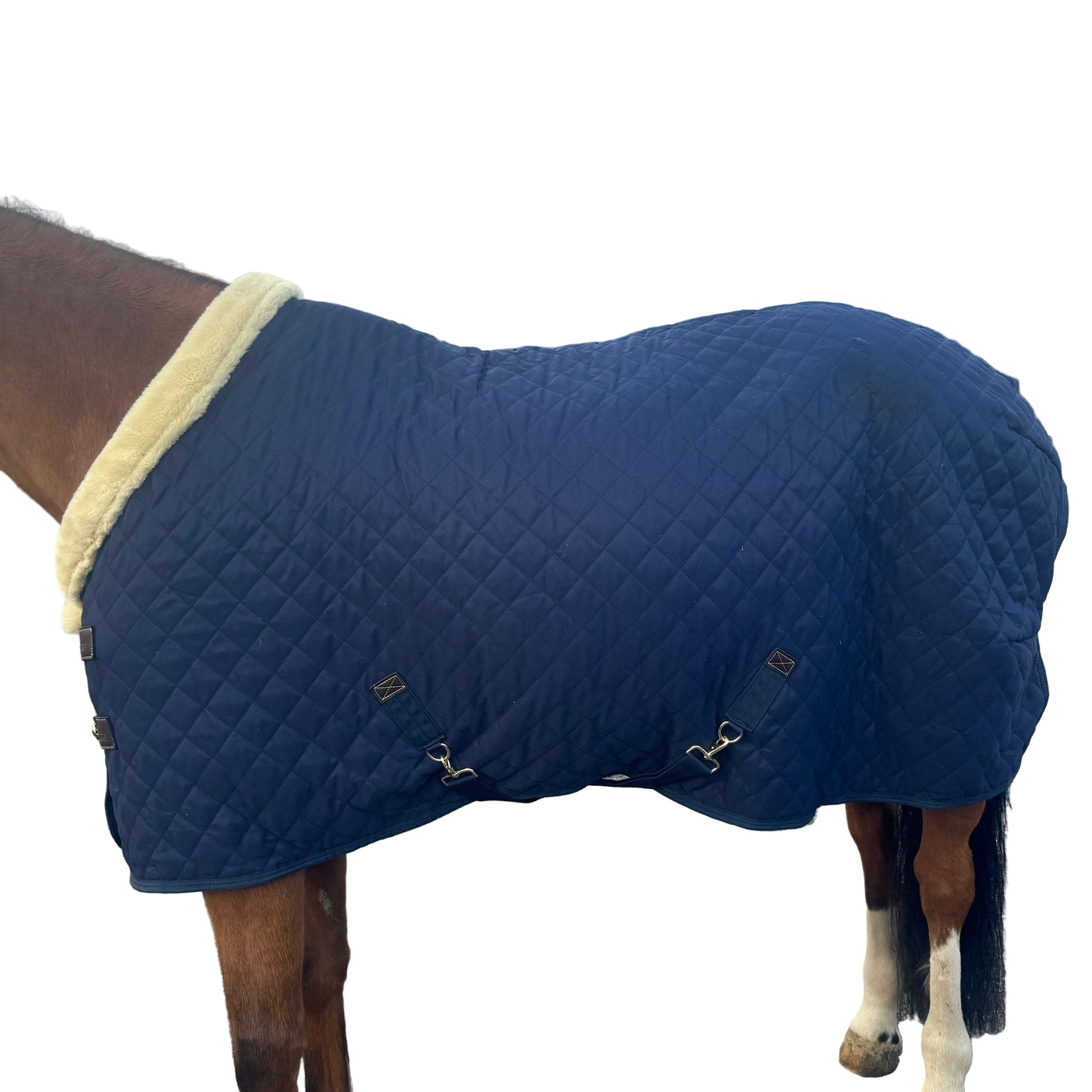 Couverture Kentucky T155