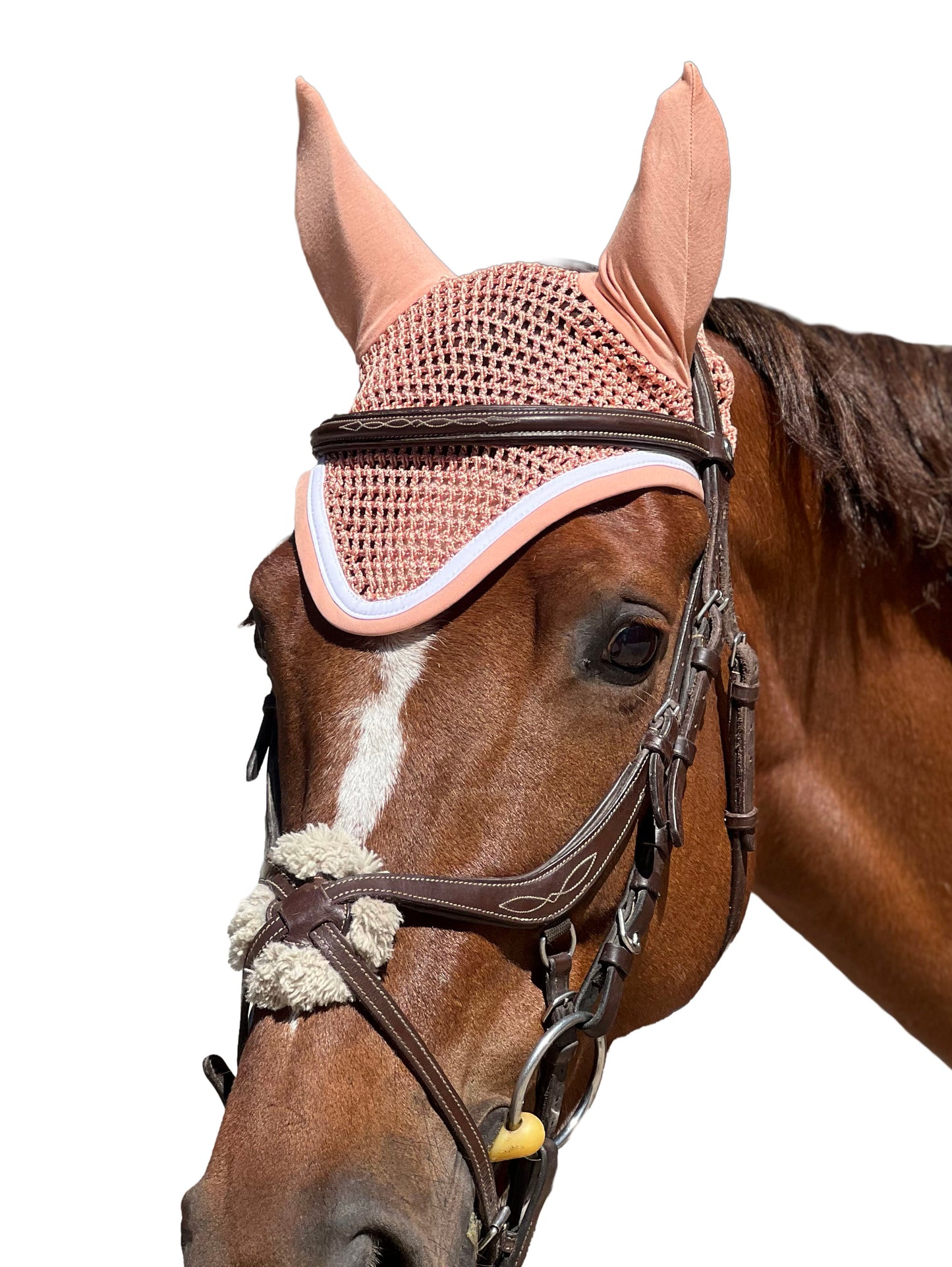 Bonnet Harcour — Pêche | poney