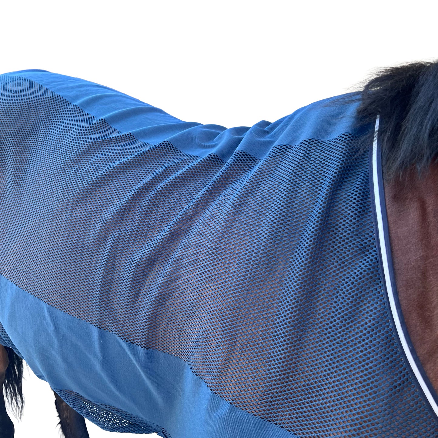 Chemise anti-mouche - Bleu | 145
