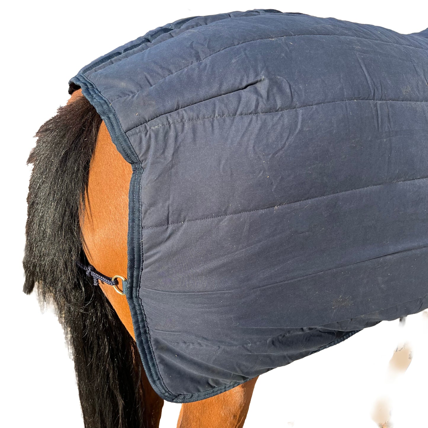 Sous-couverture 300g Kentucky- Bleu | 135