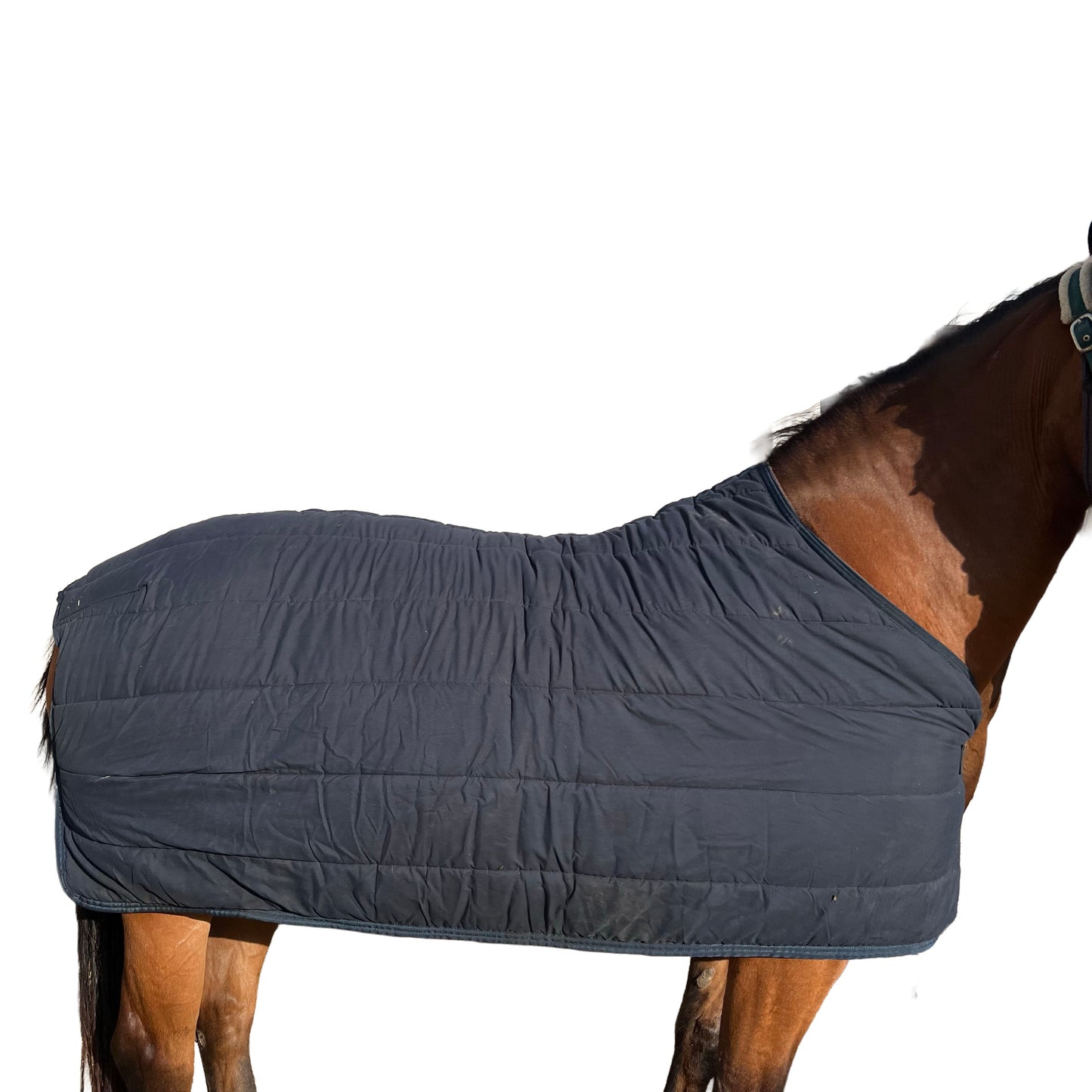 Sous-couverture 300g Kentucky- Bleu | 135