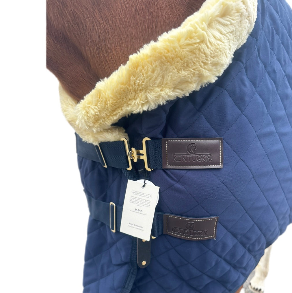 Couverture Kentucky 160g T145 Neuve