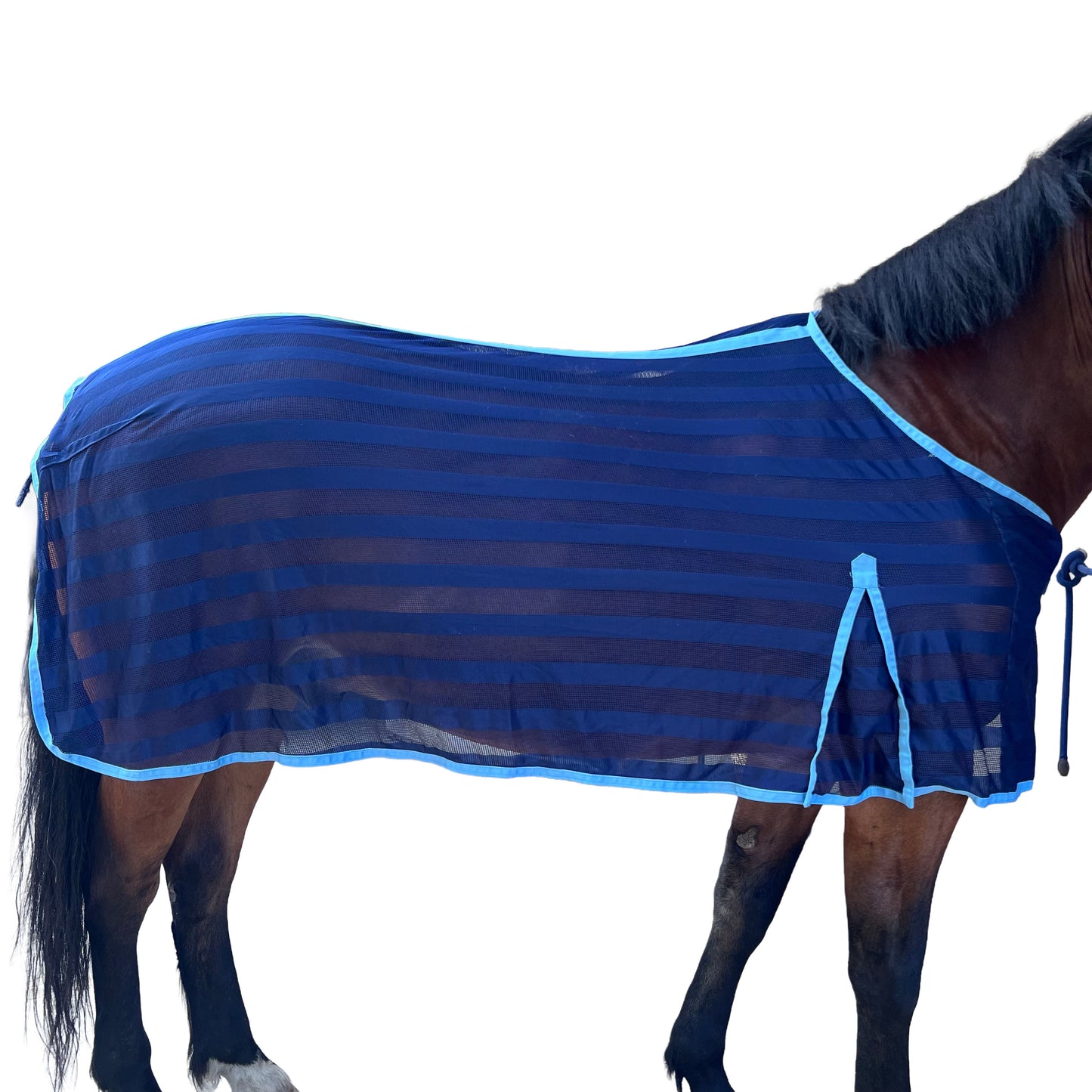 Chemise anti-mouche - Bleu | 145