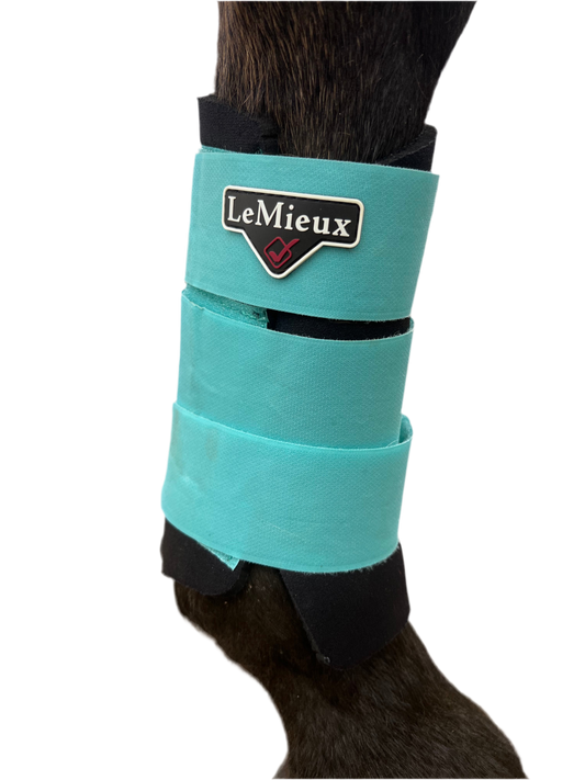 Protection LeMieux