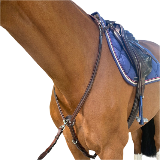 Antares-Jagdhalsband