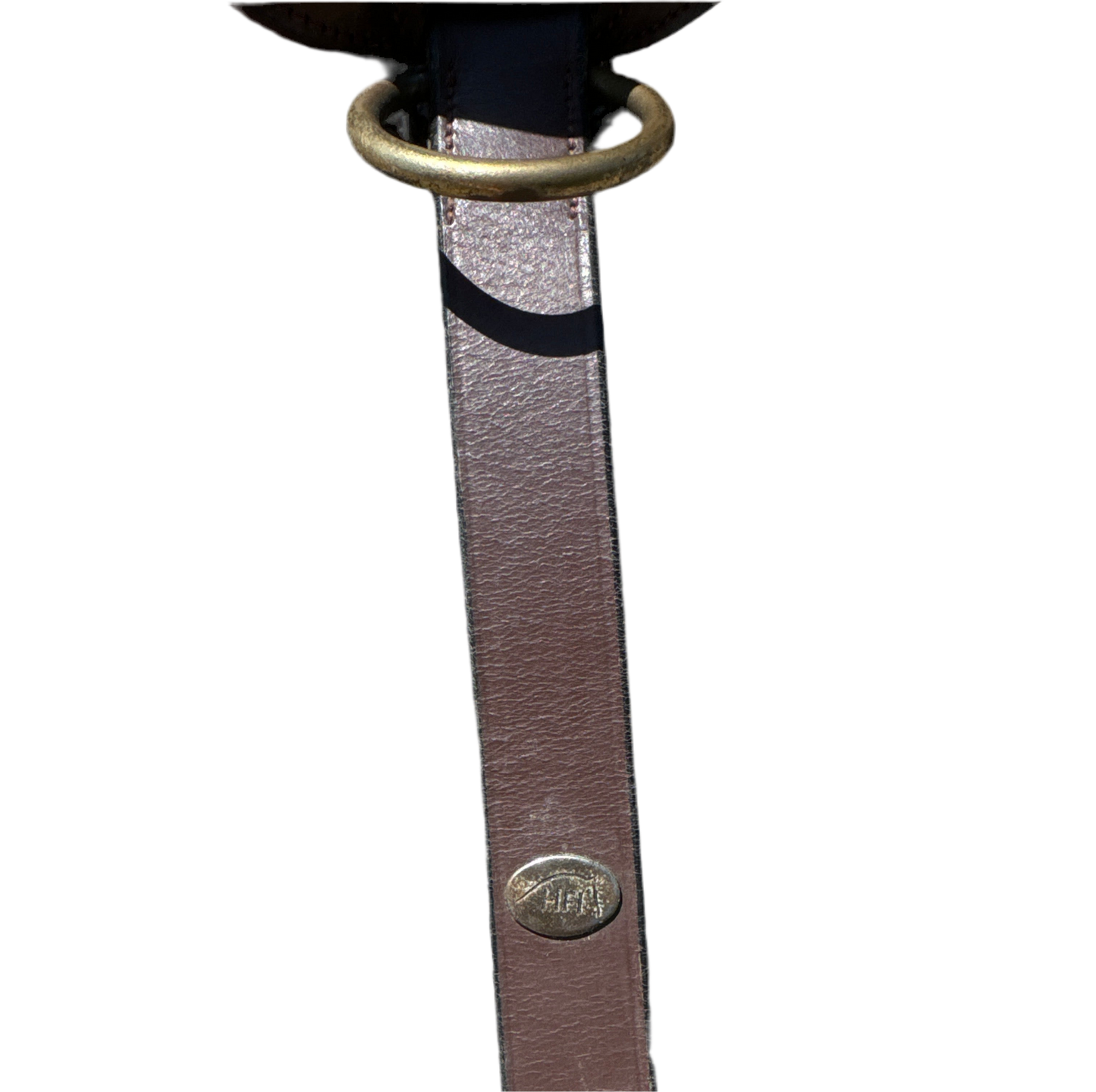 Collier de chasse HFI