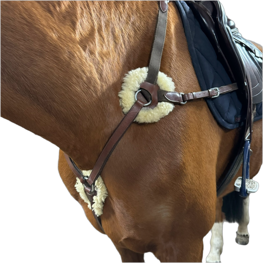 Pony-Jagdhalsband