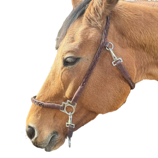 Licol cuir tressé