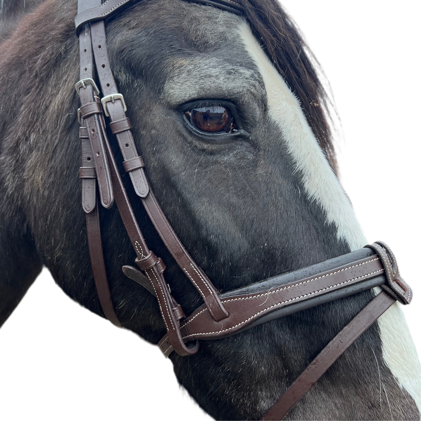 Bride poney