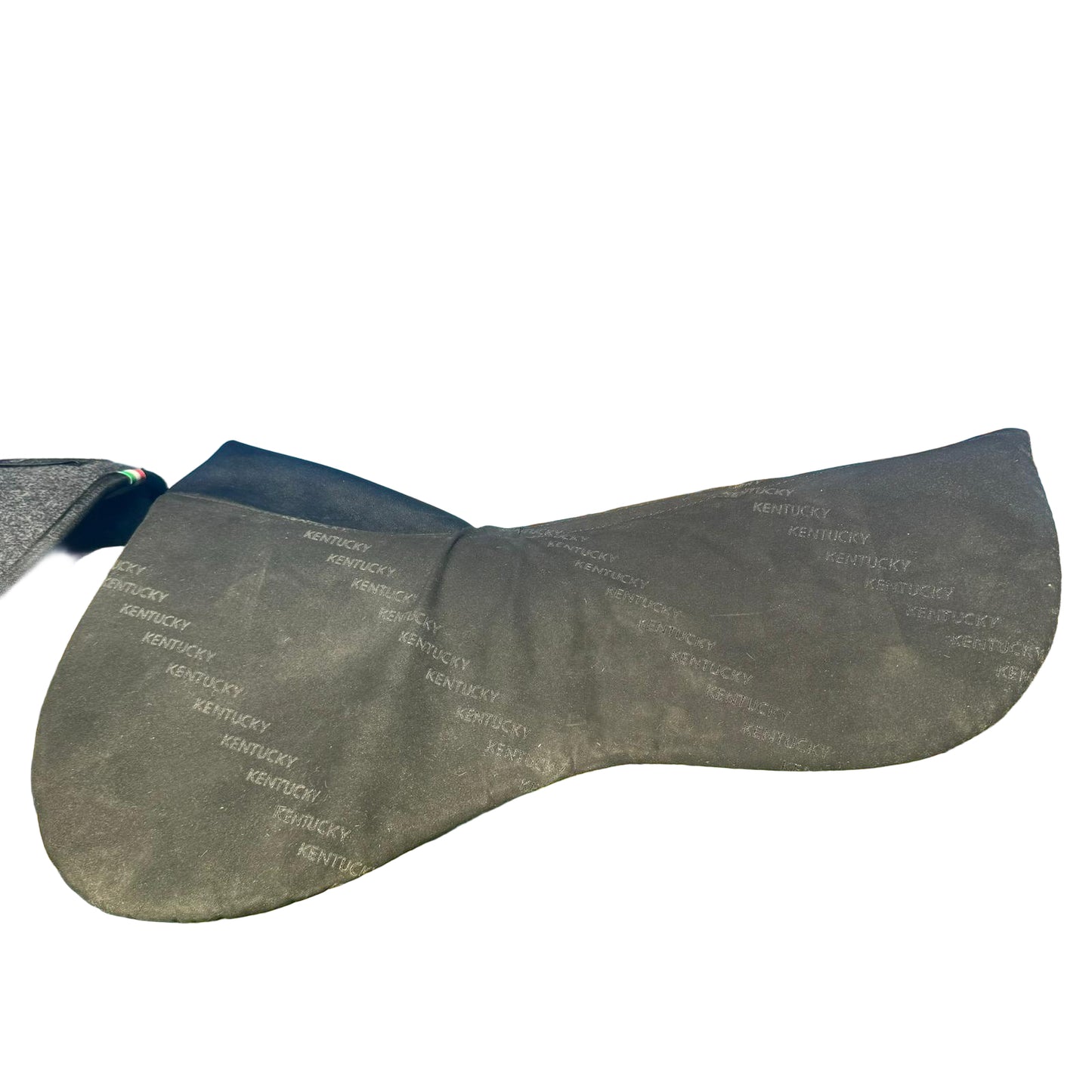 Amortisseur Kentucky