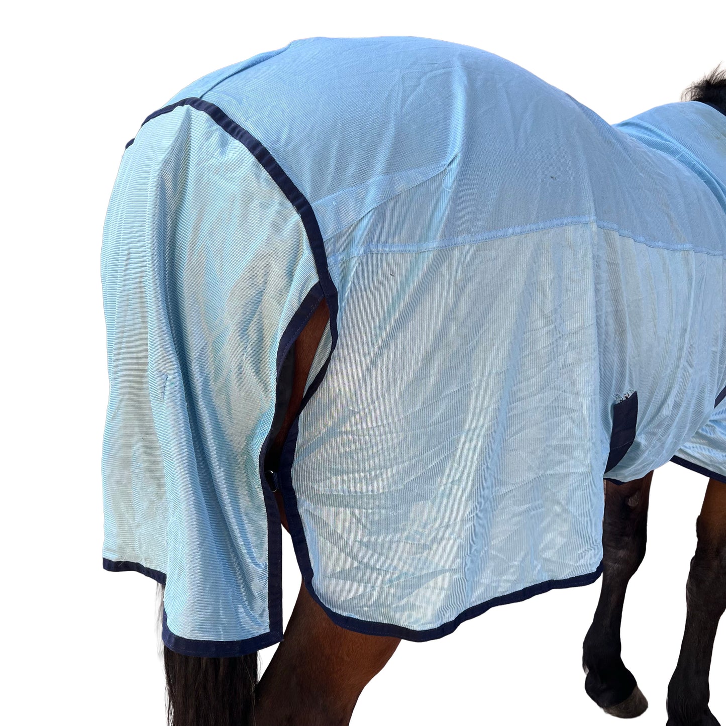 Couverture anti-mouche - Bleu ciel | 145