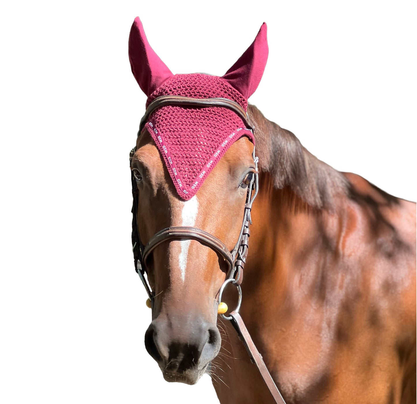 Bonnet GEM - Cob