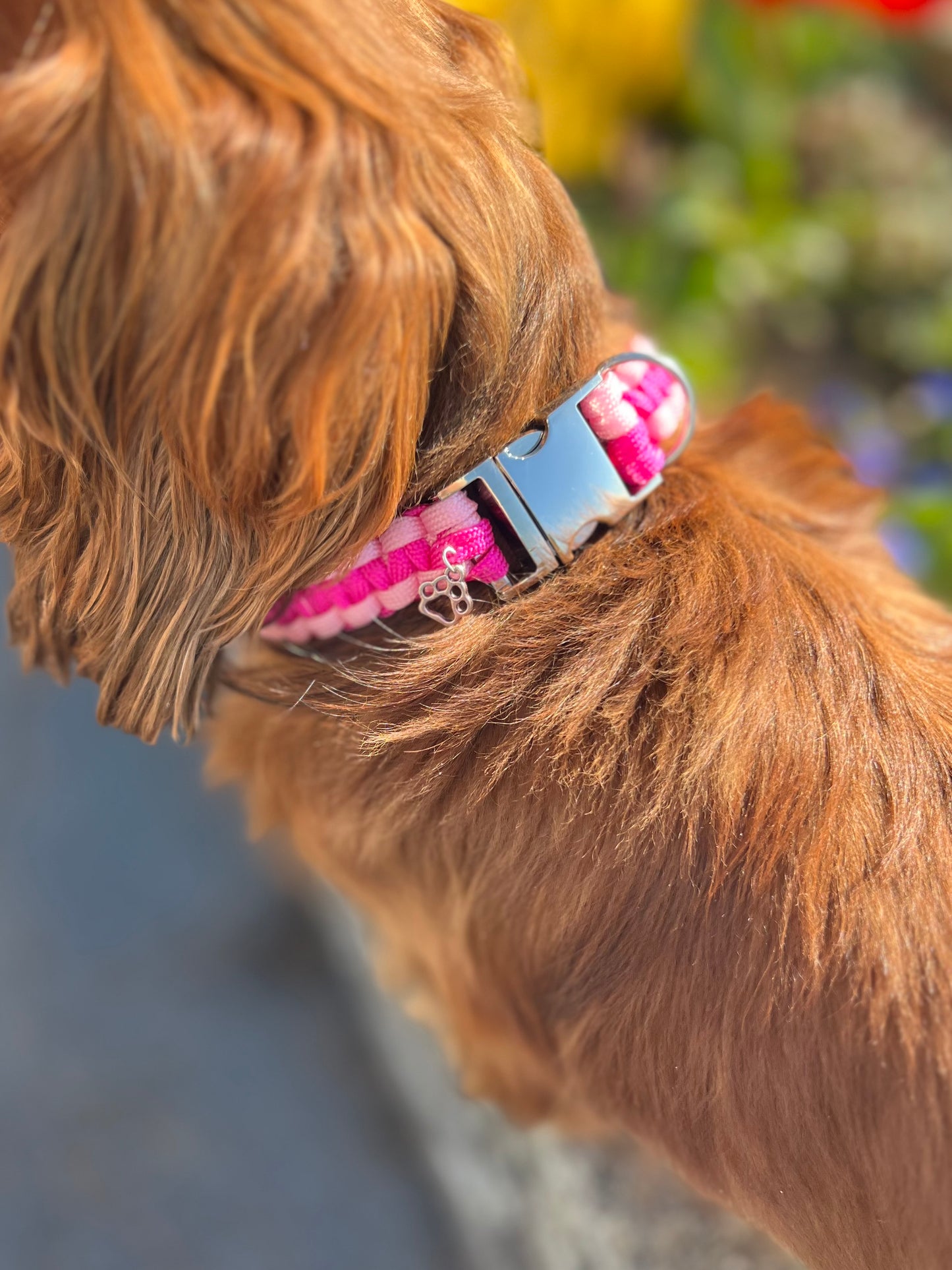 Collier chien bloom