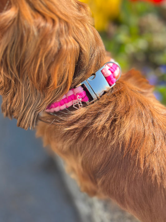 Collier chien bloom