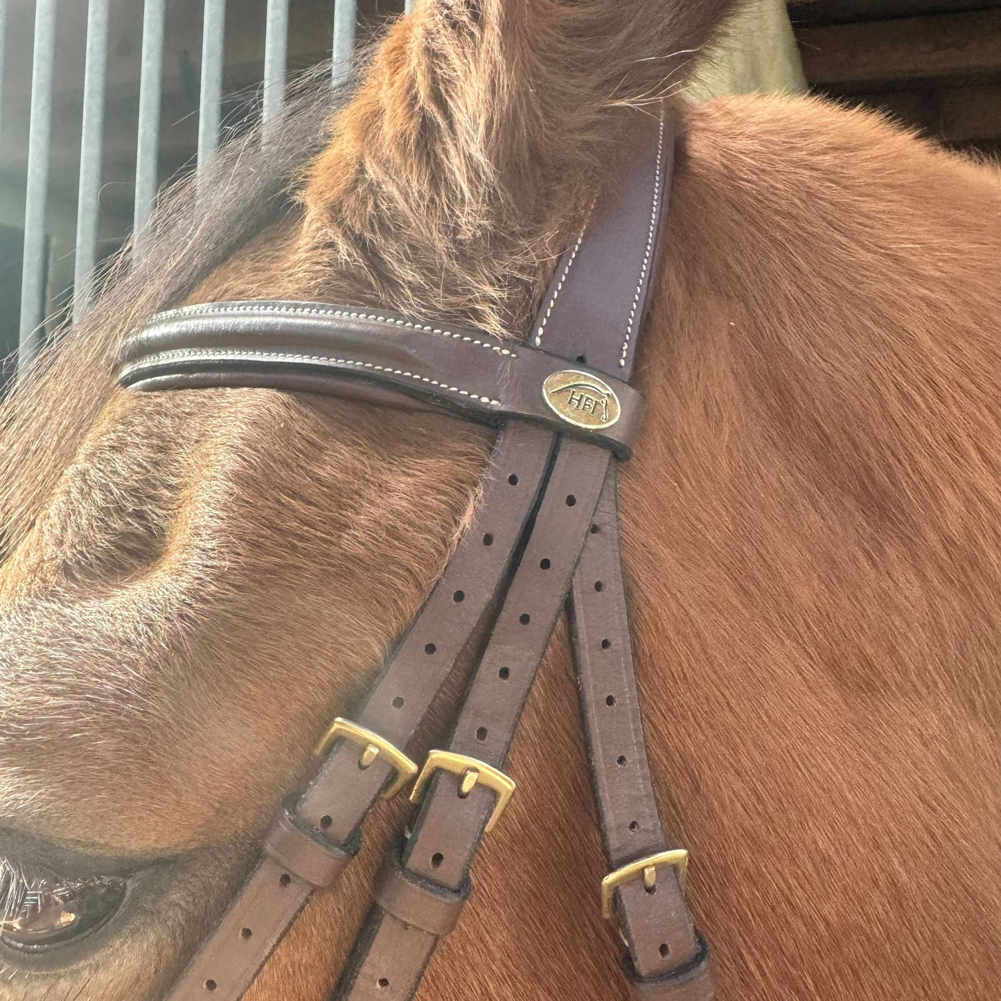 Bridon HFI muserolle allemande