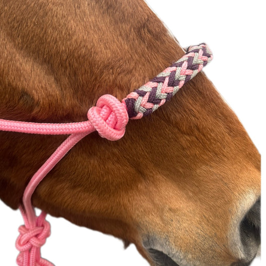 Licol éthologique + longe