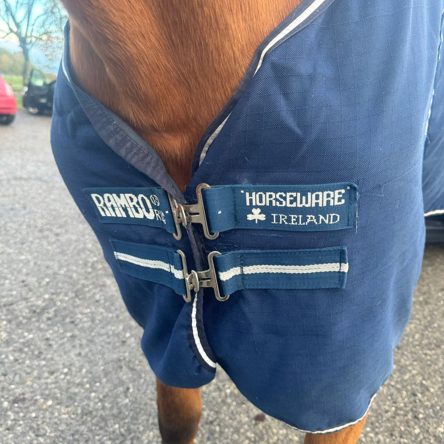 Chemise Horseware T155