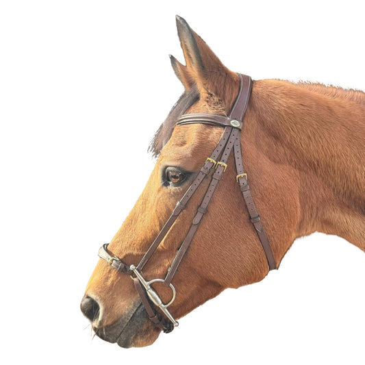 Bridon HFI muserolle allemande