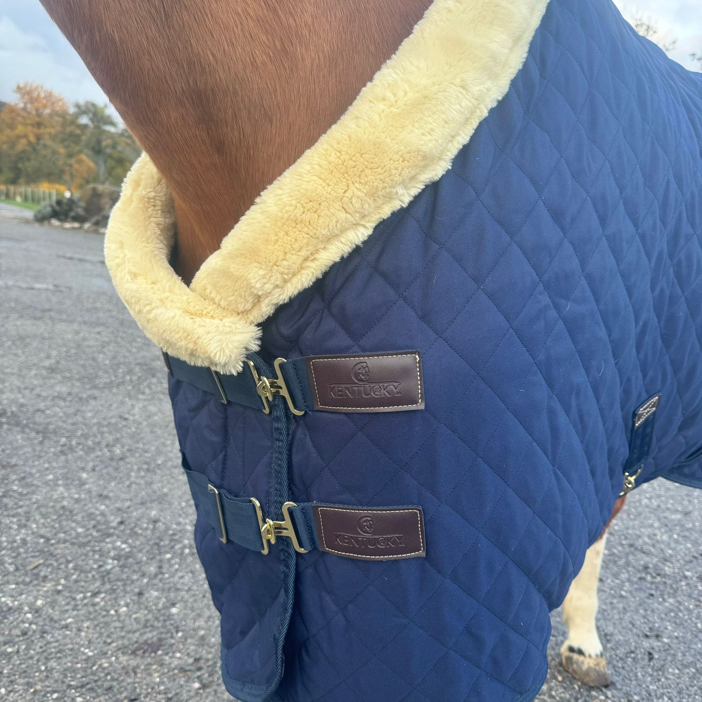 Couverture Kentucky T155