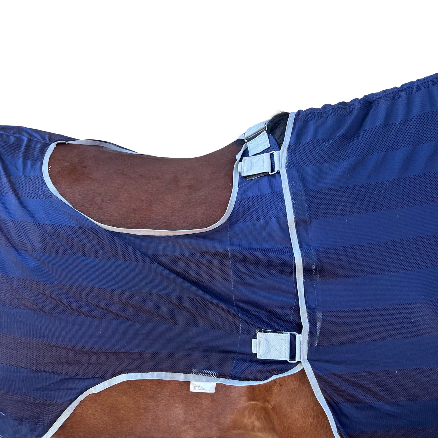 Couverture anti-mouche - Bleu | 145