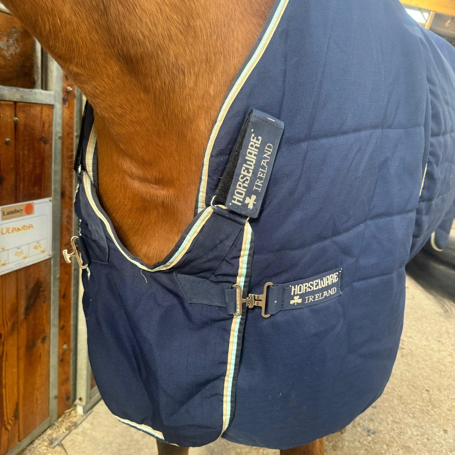 Couverture Optimo 200g Horseware T145