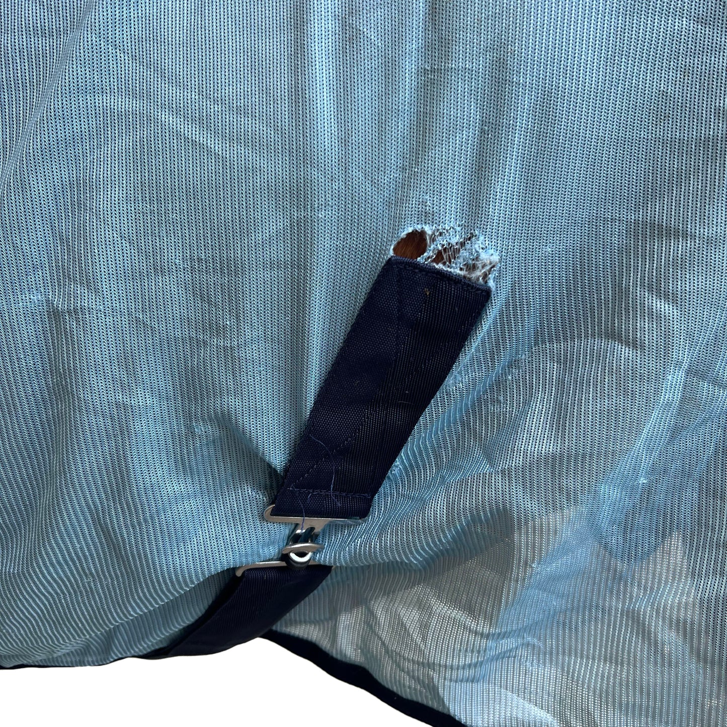 Couverture anti-mouche - Bleu ciel | 145