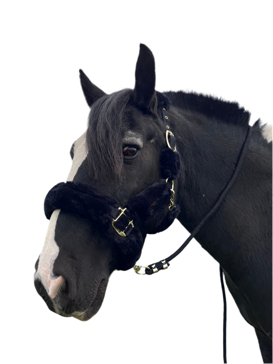 Licol Kentucky poney