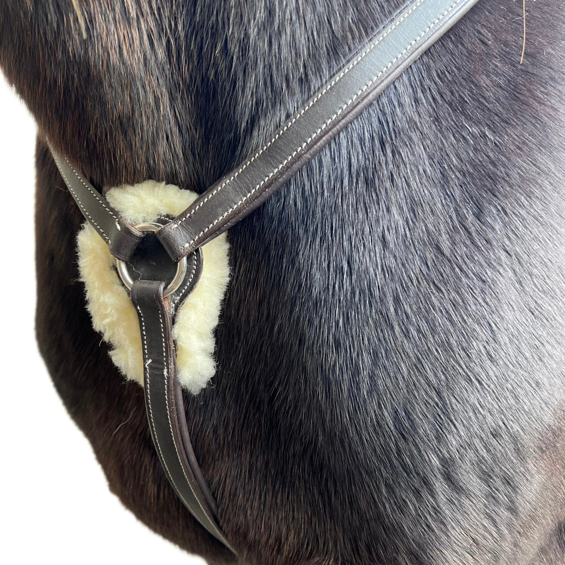 Collier de Chasse mouton