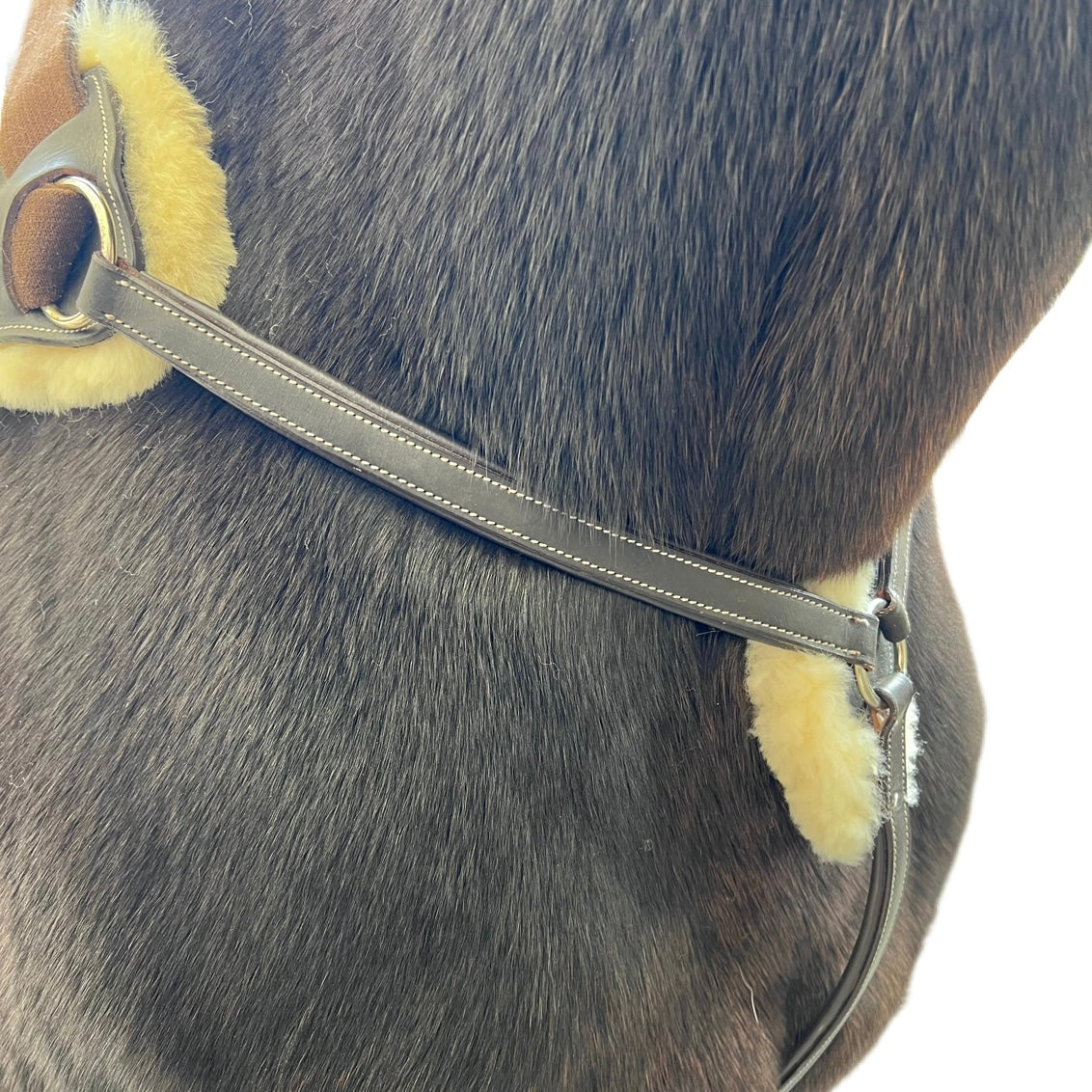 Collier de Chasse mouton