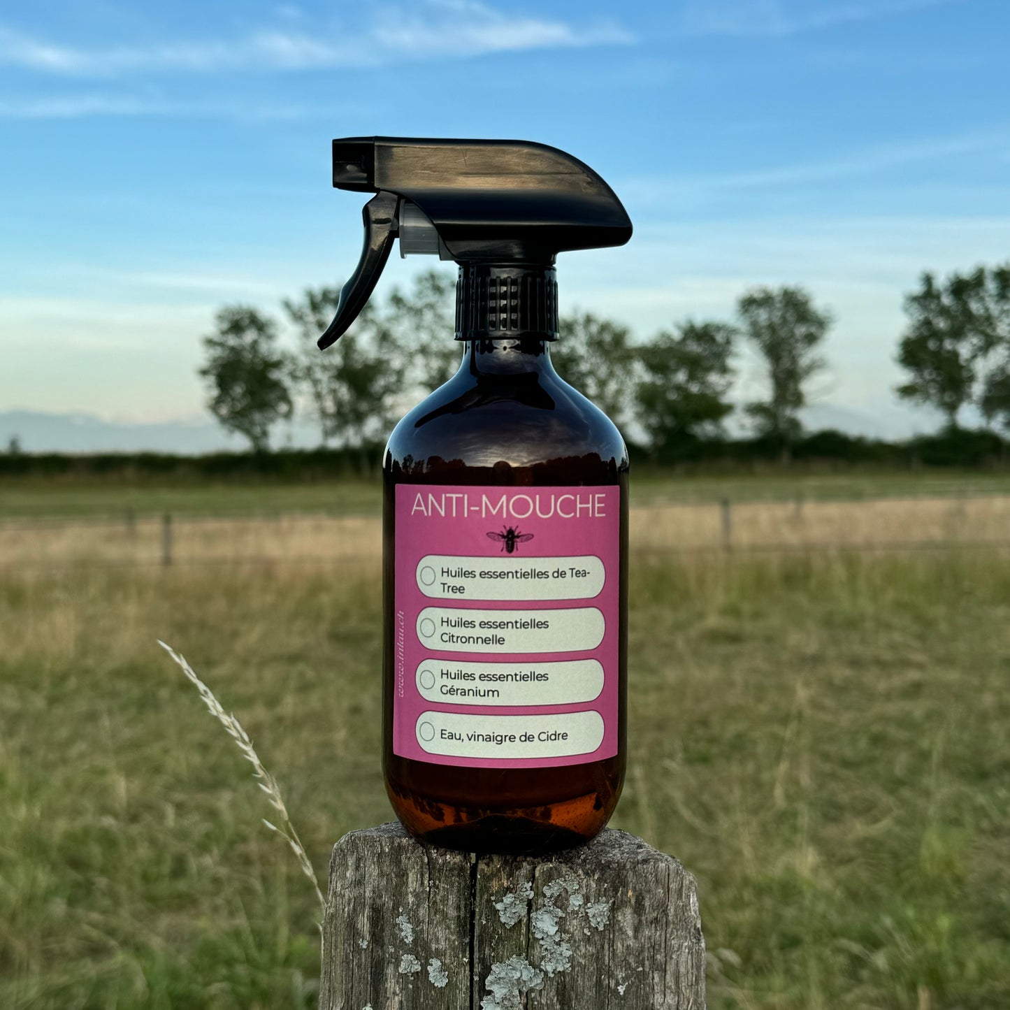 Anti-Mouche Naturel