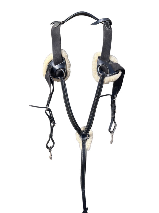 Collier de chasse 5 points — Noir | Poney