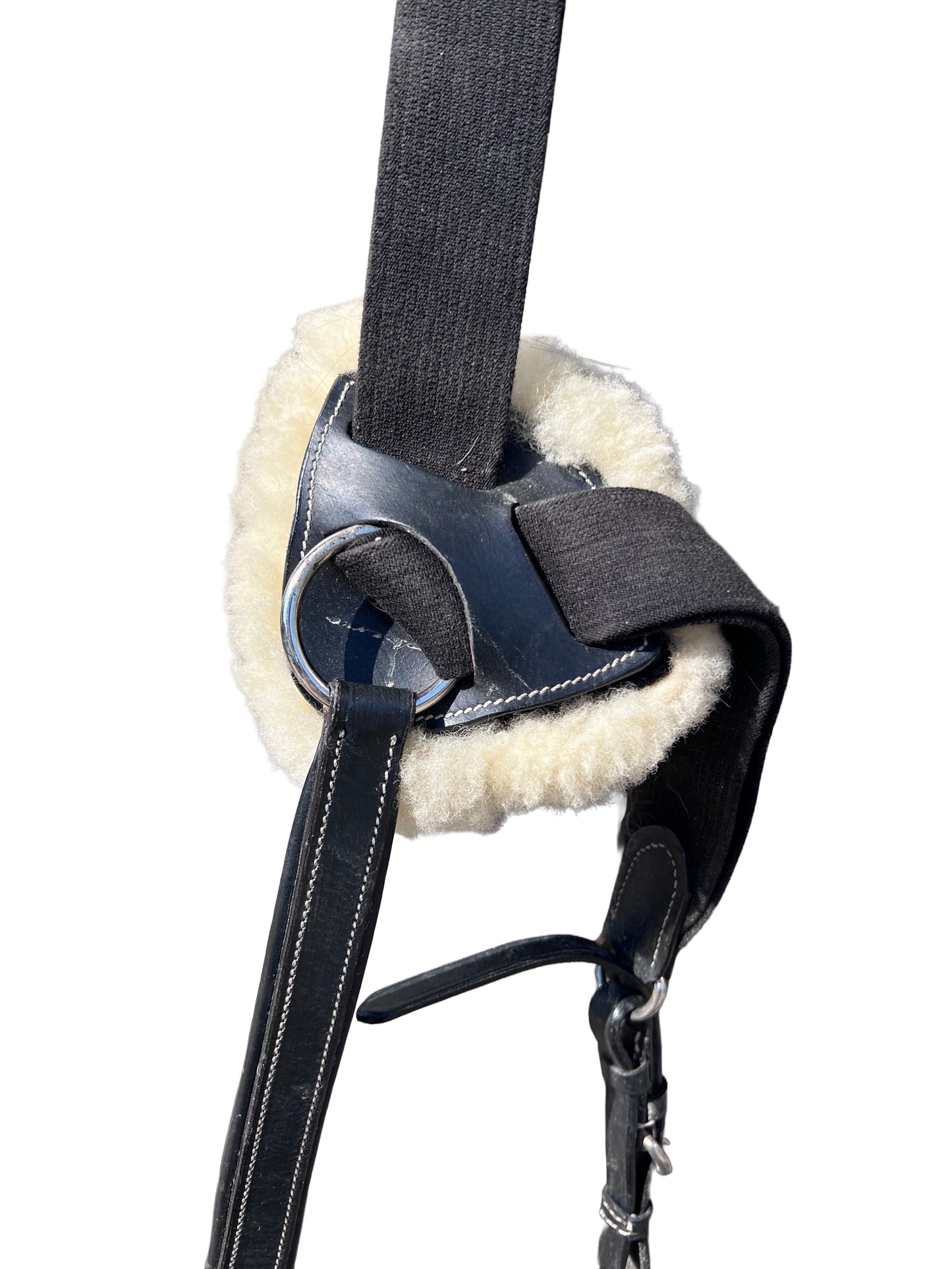Collier de chasse 5 points — Noir | Poney