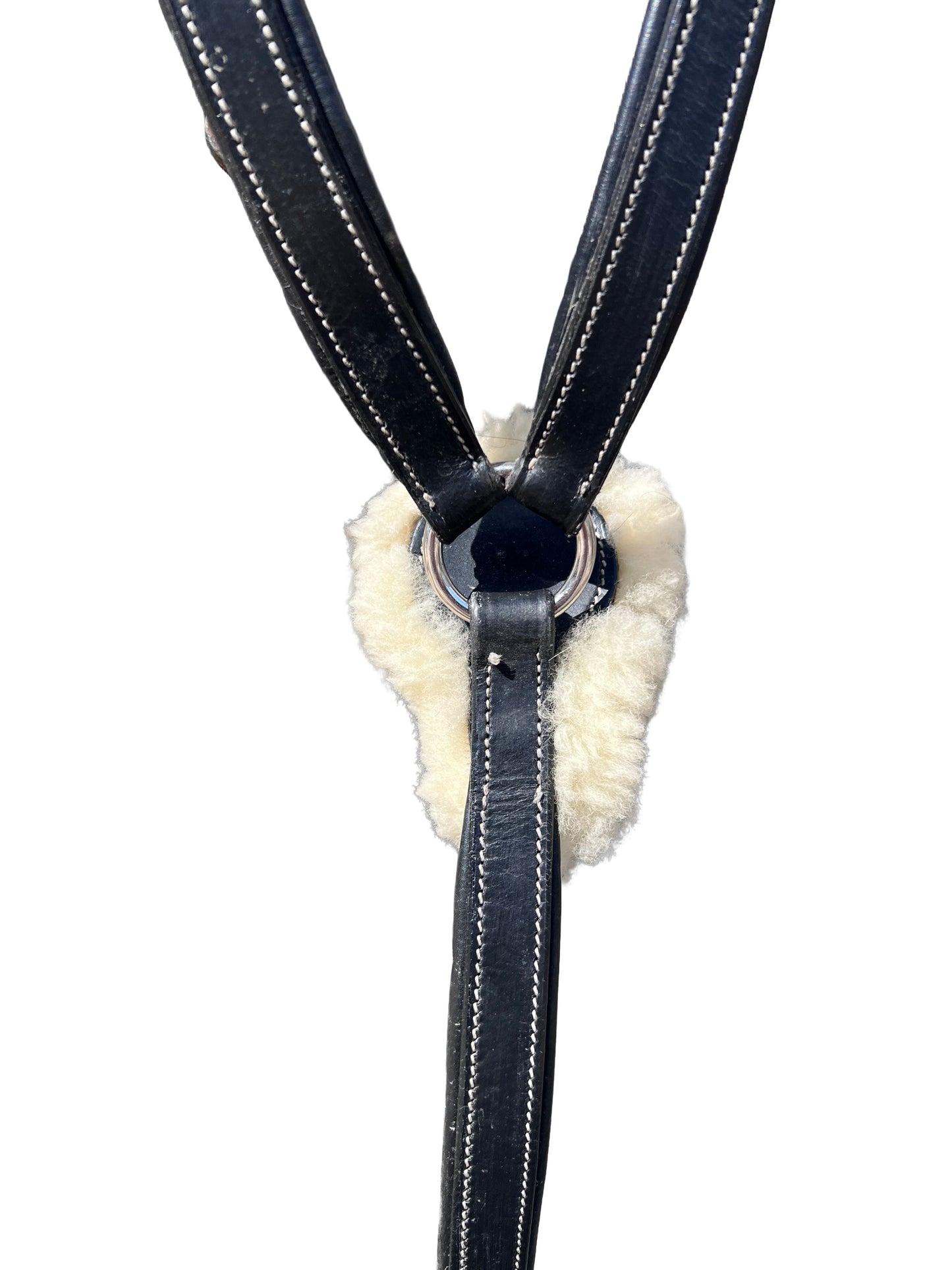 Collier de chasse 5 points — Noir | Poney